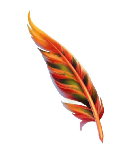 phoenix feather harry potter